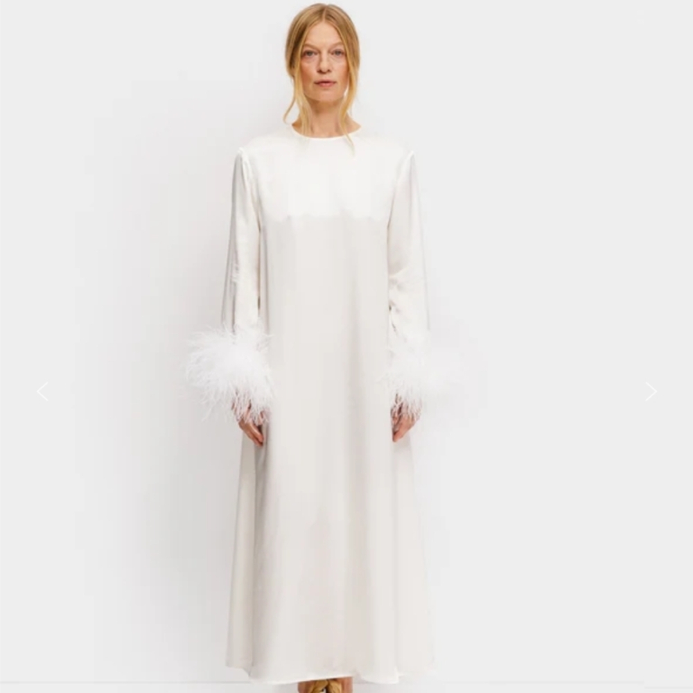Sleeper Suzi  Dress With Detachable Feathers - Picture 8 of 12